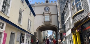 Join the Plant Allies for Women workshops this winter in Totnes