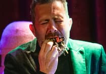 Totnes Fringe inaugural festival on the way next month