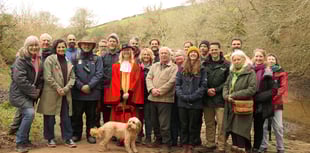 Film showcases River Dart saltmarsh restoration