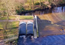 Surplus renewable energy slashing bills for Totnesians