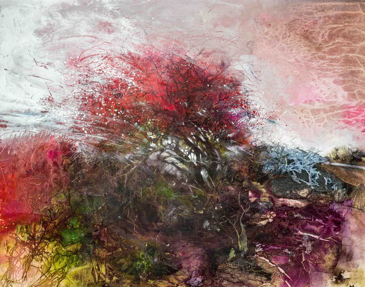 Dartmoor Hawthorn by Ann Blockley