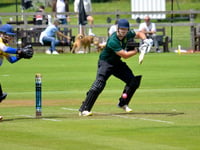 99 not out again for Matt Skeemer