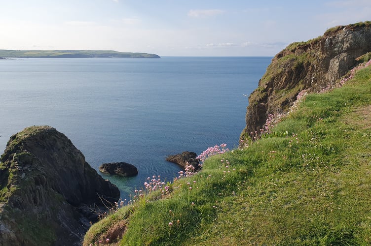 Cliffs of Burgh Island - Alice Henderson