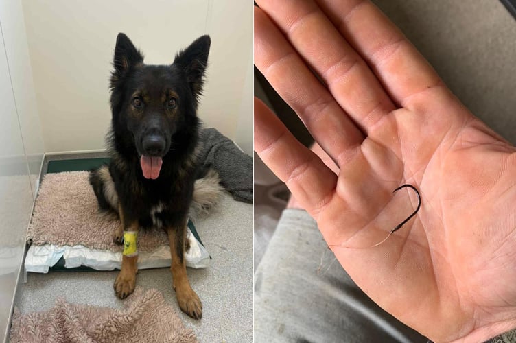 Douglas the Dog and the discarded fish hook.