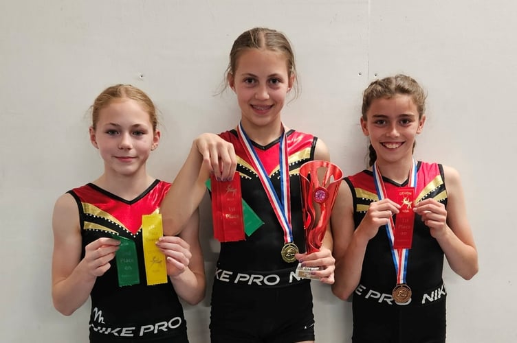 Kingsbridge gymnastics zinc and copper