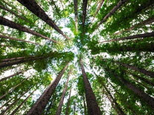 Young Explorers invited to discover green to blue nature spaces