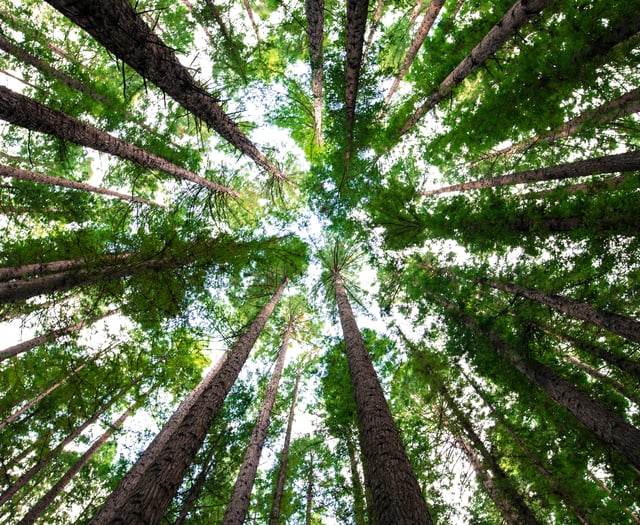 Young Explorers invited to discover green to blue nature spaces