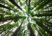 Join the great nature adventure