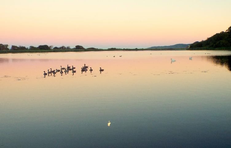 Slapton Ley - Sarah Morgan