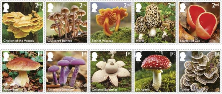 Royal Mail mushroom stamp reveal