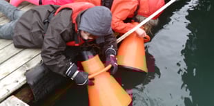 Nature Diary by Nigel Mortimer | Shaping the future of estuaries