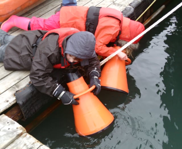 Nature Diary by Nigel Mortimer | Shaping the future of estuaries