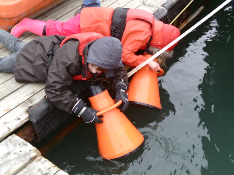 Estuaries - you need to look below the surface - Nigel Mortimer