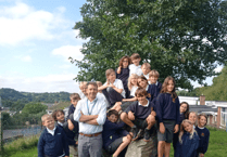 Harbertonford Primary phonics pass rate soars