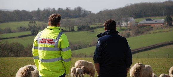 Trading Standards visit a sheep farm