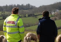 Farms in Devon prioritise water health of livestock