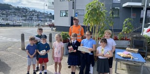 St John's wins tallest sunflower contest