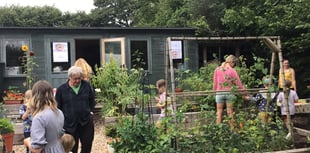 Blackawton School's 'Dough and Grow' success
