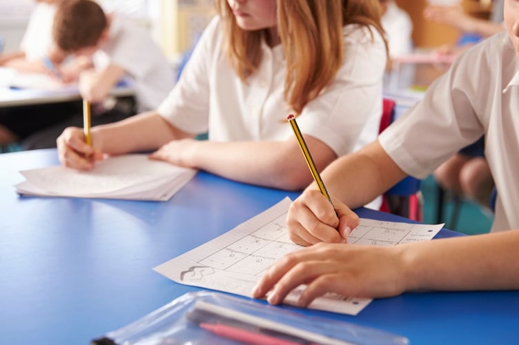 School pupils studying, close up.