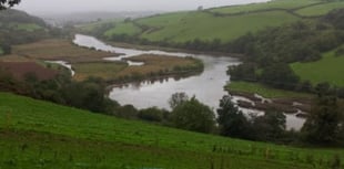 Pollution alert for River Dart swimmers