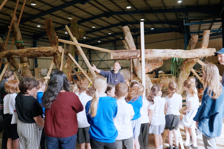 Carpenter Oak St Marys primary school visit 