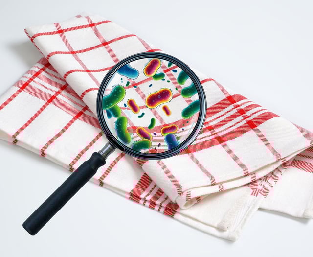 Is your tea towel spreading E. coli?