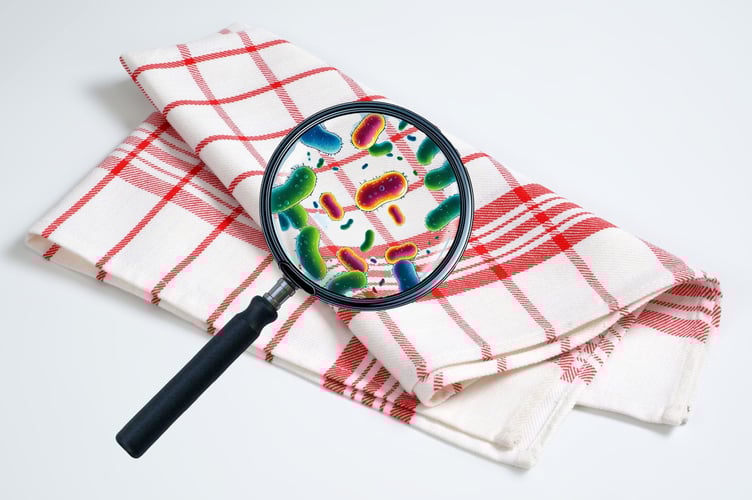 Is your tea towel spreading E. coli?