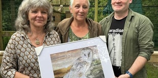 Celebrating 40 years of conservation with a unique artwork puzzle