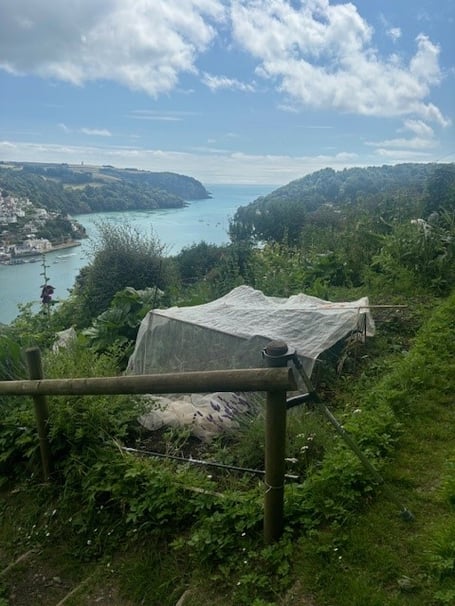 Allotment in Dartmouth