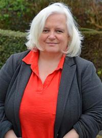 Plymouth councillors face online abuse