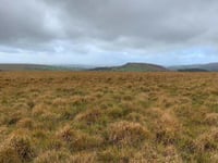 Ditsworthy Warren re-registered as common land