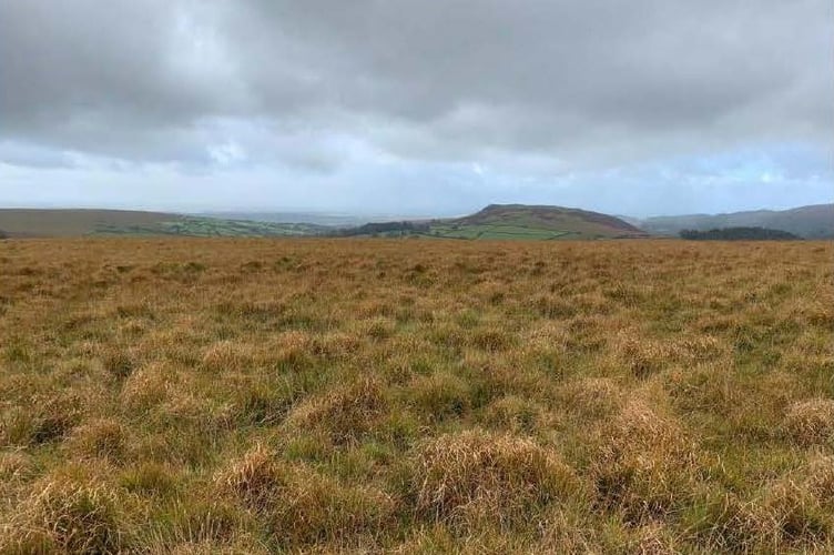 The newly-registered land - Open Spaces Society
