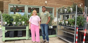 Tastes of the Caribbean grown in the South Hams