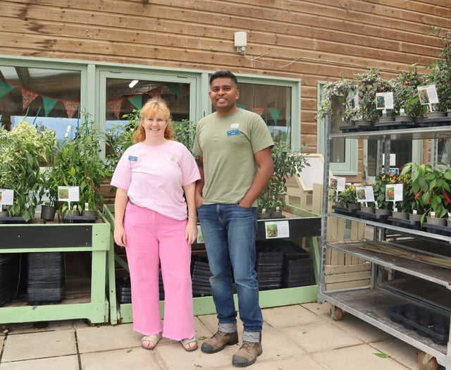 Tastes of the Caribbean grown in the South Hams