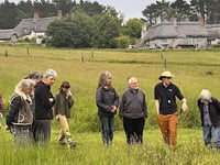 Orchard Farm leads meadow restoration efforts in the South Hams 
