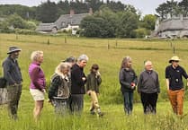 Join Orchard Farm's meadow restoration event