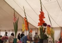 A great year for Loddiswell Show