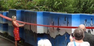 Modbury's Marvelous Mural unveiled by Janine Jansen