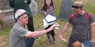 Family Fun at Wild Loddiswell