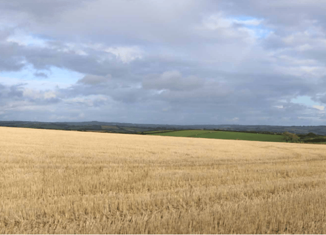 Octopus plans Bigbury wind turbine for renewables
