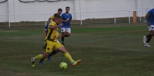 The Bees get back to winning ways