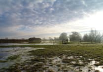 UK's Energy Transition: Affordable and Necessary?