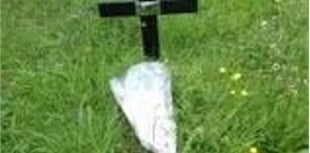 Memorial cross theft prompts police appeal