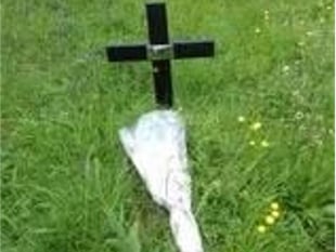 Memorial cross theft prompts police appeal