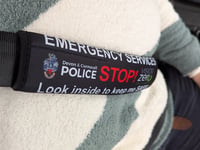 Free seatbelt covers for those with additional needs