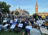 Leading academic on UK terror law decision