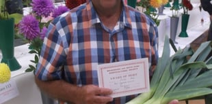 Malborough Horticultural Society Annual Show triumphs