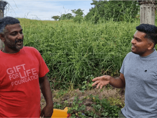 Uncover the mystery of the Moruga Scorpion Chilli