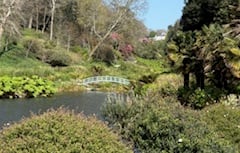 Nature Diary by Mike Hitch | Exploring Trebah and Glendurgan
