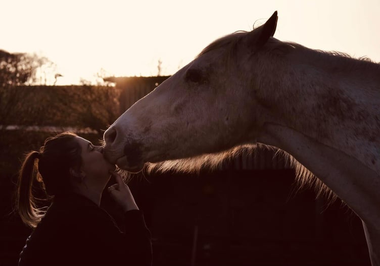 Mickey - South Moor Vets